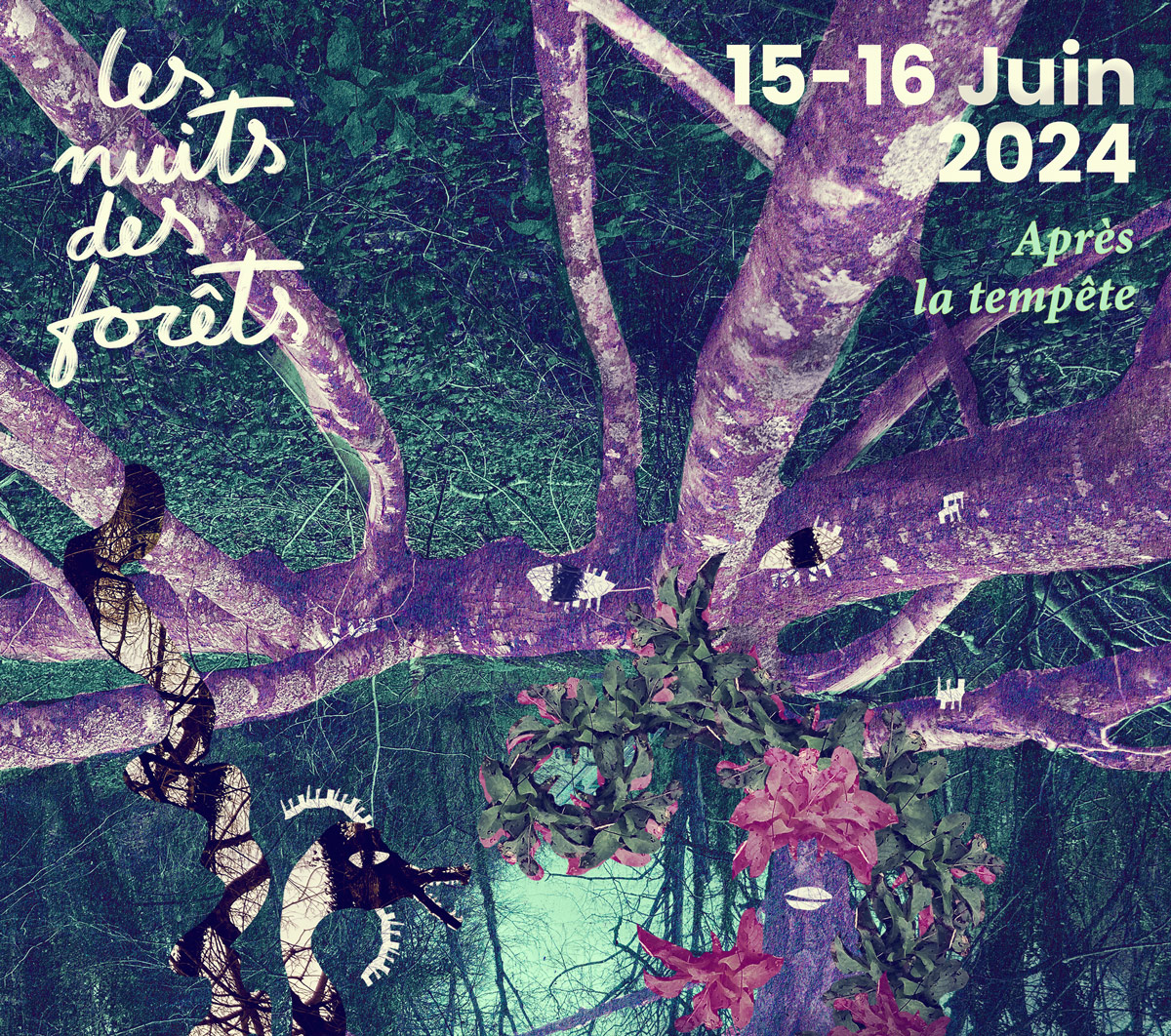 Nuit des forêts 2024